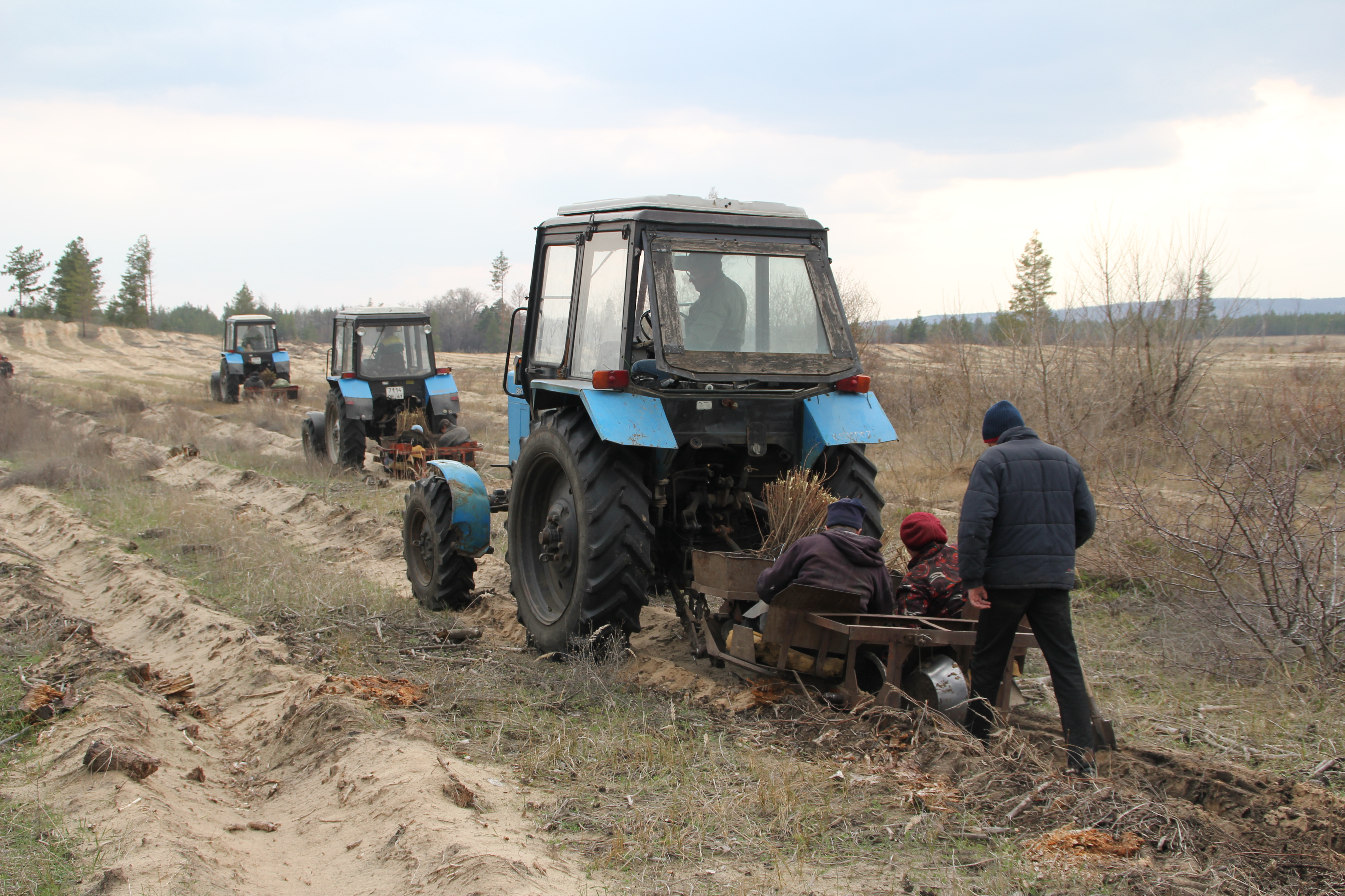 Посадил лес, помог природе. 