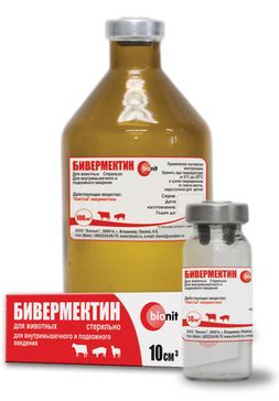bivErmEktin1.jpg