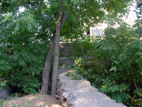 Место происшествия maksimus_mvd-1.jpg