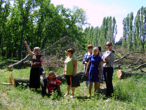 kuleshovka_dubi_4.jpg